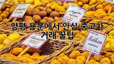 양평 용문에서 안심 중고차 거래 꿀팁 🚗✨